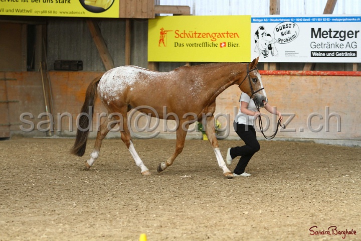 24-ApHC HIH_096.jpg